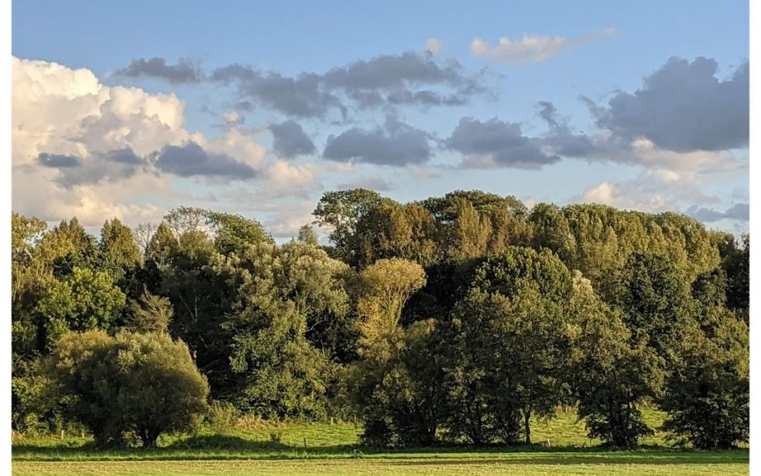 belle lumière de fin de journée ideale pour la photographie de paysages